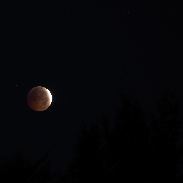 <font class="tempImageTitleThumbText">Lunar Eclipse Morning Of 28 August 2026</font><br>John Menz<br>Aug 28 5:51am<br>Nonington, Kent, England