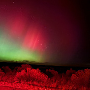 <font class="tempImageTitleThumbText">Aurora’s </font><br>John Metzler<br>Nov 12 2:45am<br>Wyoming, usa