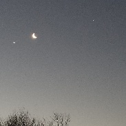 <font class="tempImageTitleThumbText">Venus, Moon &Jupiter </font><br>John Miller<br>Jan 31 12:12pm<br>Great Swamp National Wildlife R