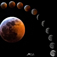 <font class="tempImageTitleThumbText">Lunar Eclipse</font><br>John Niehay<br>Jan 23 11:19am<br>Macon County in Central Illinoi
