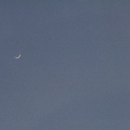<font class="tempImageTitleThumbText">Venus In Broad Daylight/Sunspots</font><br>Jonathan Sabin<br>Jan 5 8:50pm<br>Knowing that we are fast approa