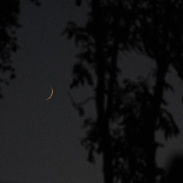 <font class="tempImageTitleThumbText">Crescent Moon And Venus</font><br>Jonathan Turner<br>Jun 17 9:04pm<br>Grantham United Kingdom