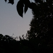 <font class="tempImageTitleThumbText">Conjuntion Venus- Jupiter</font><br>José Climent<br>Jun 30 8:42pm<br>Sant Cugat (Barcelona) Spain