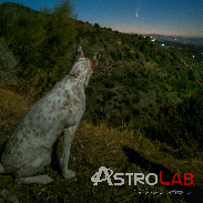 <font class="tempImageTitleThumbText">AstroDog And Comet NeoWISE</font><br>Jose Antonio Jimenez<br>Jul 10 5:48pm<br>Sierra de las Nieves, Malaga, S