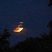 <font class="tempImageTitleThumbText">Lunar Eclipse</font><br>Josef Laufer<br>May 16 10:00am<br>Würzburg, Germany