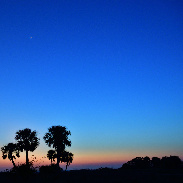 <font class="tempImageTitleThumbText">Crescent Moon, Jupiter, Venus</font><br>Joseph Golebieski<br>Feb 23 12:53am<br>Treasure Island, FL