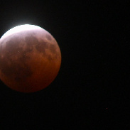 <font class="tempImageTitleThumbText">Almost Total Lunar Eclipse</font><br>Joseph Oliva Jr.<br>Aug 29 12:06am<br>Mesa, Arizona, USA