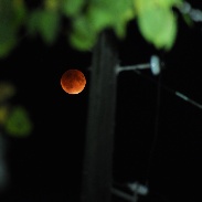 <font class="tempImageTitleThumbText">Super Harvest Lunar Eclipse Moon</font><br>Josh Bowren<br>Sep 28 11:49pm<br>Holly, Michigan, USA