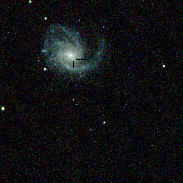 <font class="tempImageTitleThumbText">Supernova 2014L In M99</font><br>Josh Thum<br>Feb 1 5:24am<br>Mount Prospect, Illinois