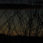 <font class="tempImageTitleThumbText">Mercury And Venus</font><br>Julian Kleinschuster<br>Jan 12 5:58pm<br>Feldbach, styria, Austria, Euro