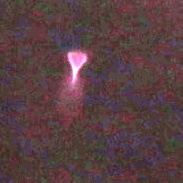 <font class="tempImageTitleThumbText">UNKNOWN , Sprite </font><br>jghops<br>Jun 28 10:51pm<br>El Bito Partito, AL