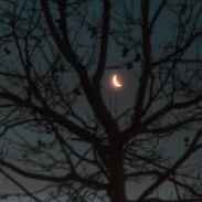<font class="tempImageTitleThumbText">Moon And Venus</font><br>juan manuel pérez rayego<br>Mar 2 12:51pm<br>merida, spain.