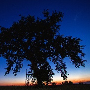 <font class="tempImageTitleThumbText">Venus And Jupiter</font><br>Kamila Mazurkiewicz<br>Jul 1 10:29pm<br>near Puławy, Poland