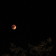 <font class="tempImageTitleThumbText">Lunar Eclipse</font><br>Karl Kuehn<br>Sep 29 7:48pm<br>Durango, CO, USA