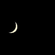 <font class="tempImageTitleThumbText">Venus </font><br>Karoly Jonas<br>Mar 8 8:52pm<br>Budapest - Hungary