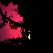 <font class="tempImageTitleThumbText">Aurora</font><br>Kate Aldrich<br>Nov 12 5:08am<br>Santa Rosa CA