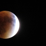 <font class="tempImageTitleThumbText">Lunar Eclipse </font><br>Katherine Brock<br>Sep 28 3:14am<br>Buckner,MO , USA