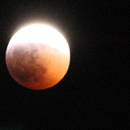 <font class="tempImageTitleThumbText">Lunar Eclipse</font><br>Kathy Marick<br>Jan 21 4:32am<br>Canton, Michigan 
