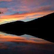 <font class="tempImageTitleThumbText">Colorful Sunset!</font><br>Kathy Neidig<br>Nov 8 9:24pm<br>Weiser State Forest, Bear Gap, 