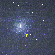 <font class="tempImageTitleThumbText">Supernova In M101</font><br>Ken Florey<br>May 21 3:55pm<br>Horsham, West Sussex, England