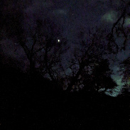 <font class="tempImageTitleThumbText">Venus.</font><br>Kevan Hubbard<br>Nov 23 2:05pm<br>Ulgham , Northumberland, Englan