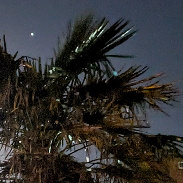 <font class="tempImageTitleThumbText">Moon And Jupiter </font><br>Kevan Hubbard<br>Dec 8 10:20pm<br>Seaton Carew,Co Durham, England