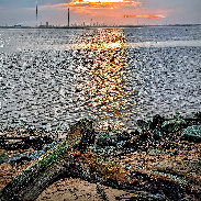 <font class="tempImageTitleThumbText">Winter Solstice Sun.</font><br>Kevan Hubbard<br>Dec 21 6:22pm<br>Teesmouth nature reserve, Co Du