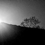 <font class="tempImageTitleThumbText">Full 🌕 Moon </font><br>Kevan Hubbard<br>Mar 4 8:17am<br>Applegarth, Yorkshire Dales Nat