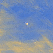 <font class="tempImageTitleThumbText">Half Moon .</font><br>Kevan Hubbard<br>May 23 3:30pm<br>Hartlepool, Co Durham, England.