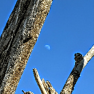 <font class="tempImageTitleThumbText">Waxing 🌒 Moon </font><br>Kevan Hubbard<br>May 24 4:16pm<br>Teesmouth nature reserve, Co Du
