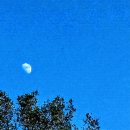 <font class="tempImageTitleThumbText">Waxing 🌔 Moon.</font><br>Kevan Hubbard<br>May 25 7:27pm<br>Cold Kirby, North Yorkshire Moo