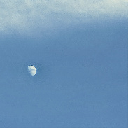 <font class="tempImageTitleThumbText">Waxing 🌔 Moon.</font><br>Kevan Hubbard<br>Jun 24 6:51pm<br>Teesmouth Nature Reserve,Co Dur