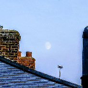<font class="tempImageTitleThumbText">Waxing 🌔 Moon. And Gull.</font><br>Kevan Hubbard<br>Jun 26 8:37pm<br>Seaton Carew,Co Durham, England
