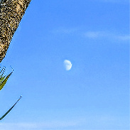 <font class="tempImageTitleThumbText">Waxing 🌔 Moon.</font><br>Kevan Hubbard<br>Jul 24 7:39pm<br>Seal Sands,Co Durham, England.