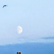 <font class="tempImageTitleThumbText">Waxing 🌔 Moon.</font><br>Kevan Hubbard<br>Aug 22 7:13pm<br>Seaton Carew,Co Durham, England