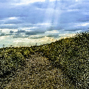 <font class="tempImageTitleThumbText">Sunrays.</font><br>Kevan Hubbard<br>Aug 25 7:14pm<br>Teesmouth Nature Reserve,Co Dur