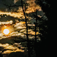<font class="tempImageTitleThumbText">Waining Moon </font><br>Kevan Hubbard<br>Aug 28 8:45pm<br>Blakehope Nick Kielder Forest, 