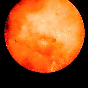 <font class="tempImageTitleThumbText">Sun And Sunspots.</font><br>Kevan Hubbard<br>Sep 4 12:15pm<br>Seaton Carew, Co Durham, Englan