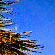 <font class="tempImageTitleThumbText">Saturn </font><br>Kevan Hubbard<br>Sep 12 10:01am<br>Seaton Carew,Co Durham, England