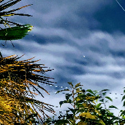 <font class="tempImageTitleThumbText">Saturn </font><br>Kevan Hubbard<br>Sep 15 10:07pm<br>Seaton Carew,Co Durham, England