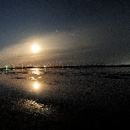 <font class="tempImageTitleThumbText">Waining Moon </font><br>Kevan Hubbard<br>Sep 28 8:40pm<br>Teesmouth Nature Reserve,Co Dur