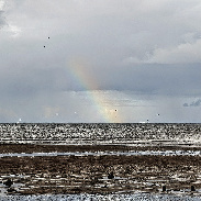 <font class="tempImageTitleThumbText">Rainbow 🌈 .</font><br>Kevan Hubbard<br>Oct 16 2:36pm<br>Seaton Carew, Co Durham, Englan