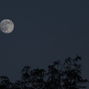 <font class="tempImageTitleThumbText">Venus And Jupiter</font><br>Kurt Eberhardt<br>Jul 1 4:34pm<br>Warsaw, IN