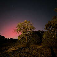 <font class="tempImageTitleThumbText">Aurora</font><br>Lance Kivell<br>Nov 12 6:20pm<br>Georgetown, Tx