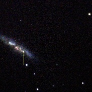 <font class="tempImageTitleThumbText">Supernova In M82</font><br>Larry McNish<br>Jan 23 7:39am<br>Taken at the University of Calg