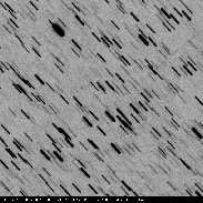 <font class="tempImageTitleThumbText">Comet C/2024 G4</font><br>Lars Bäckström<br>Aug 2 5:55pm<br>Lidingö, Sweden