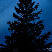 <font class="tempImageTitleThumbText">Venus, Jupiter And Some Atmospheric Optic</font><br>Lauri Kangas<br>Mar 2 5:03am<br>Fort Frances, Ontario, Canada