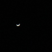 <font class="tempImageTitleThumbText">Venus</font><br>Layla Wijsmuller-Vafi<br>Mar 9 10:29pm<br>Bloemendaal in  Holland