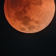 <font class="tempImageTitleThumbText">May 15-16 Lunar Eclipse</font><br>Lee O. Huey<br>May 16 10:56pm<br>Augusta, Georgia