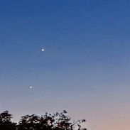 <font class="tempImageTitleThumbText">The kiss Of Venus</font><br>Les Brooks <br>Jun 9 9:49pm<br>East Shore Village, Seaham, Dur